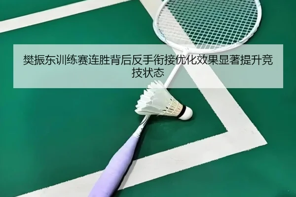 樊振东训练赛连胜背后反手衔接优化效果显著提升竞技状态
